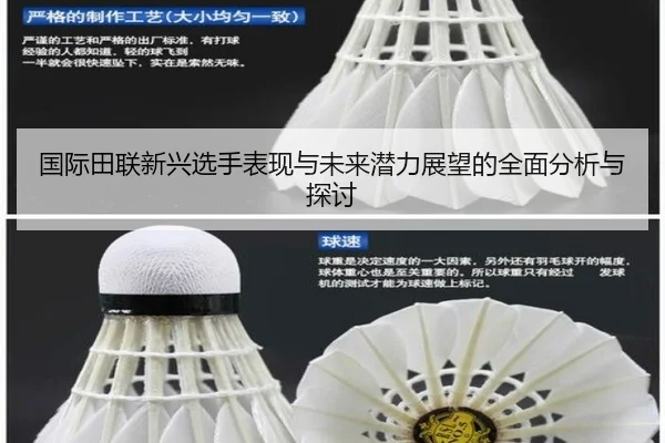 国际田联新兴选手表现与未来潜力展望的全面分析与探讨
